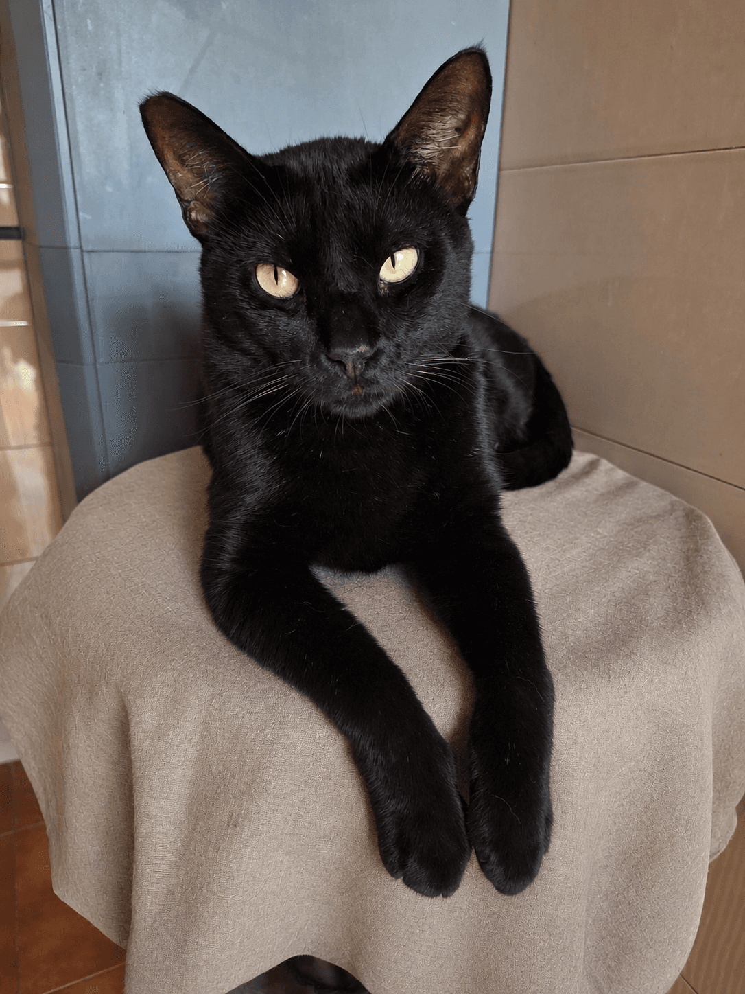 0_blacky